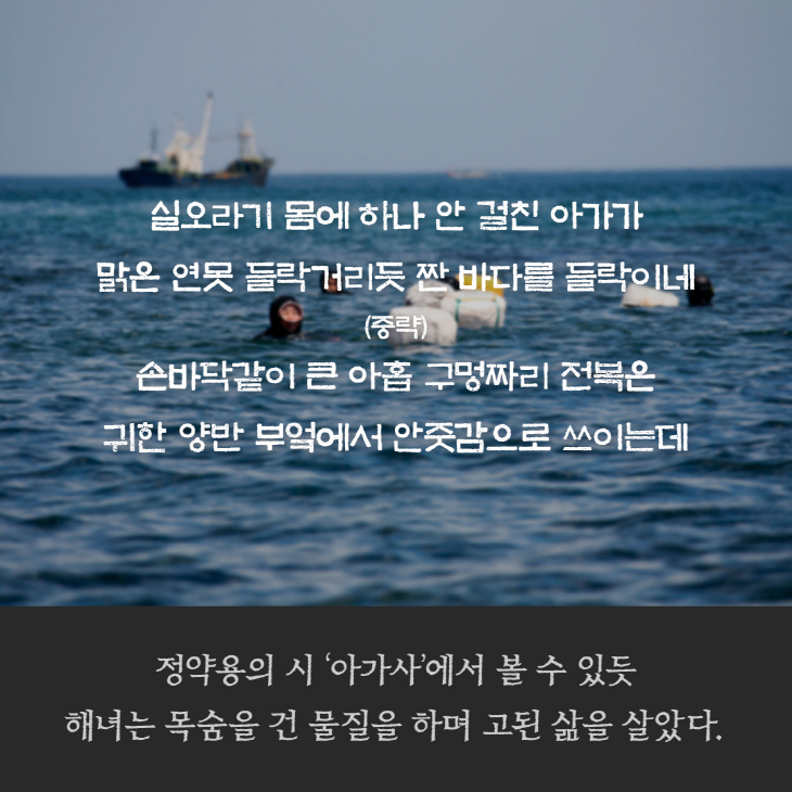 실오라기 몸에 하나 안 걸친 아가가 맑은 연못 들락거리듯 짠 바다를 (중략) 손바닥같이 큰 아홉 구멍 짜리 전북은 귀한 양반 부엌에서 안줏감으로 쓰이는데.. [정약용이 시 '아가사'에서 볼 수 있듯 해녀는 목숨을 건 물질을 하며 고된 삶을 살았다.]