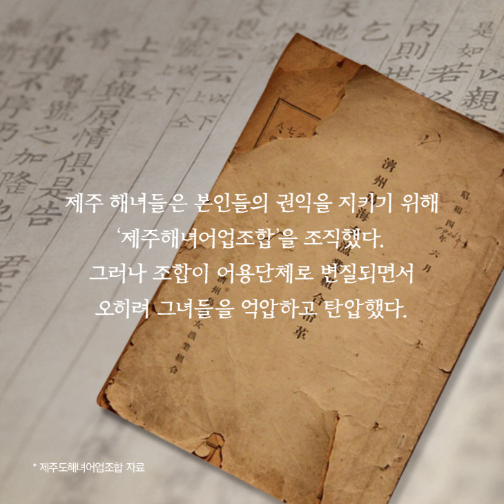 제주 해녀들은 본인들의 권익을 지키기 위해 '제주해녀어업조합'을 조직했다. 그러나 조합이 어용단체로 변질되면서 오히려 그녀들을 억압하고 탄압했다. *제주도 해녀어업조합 자료