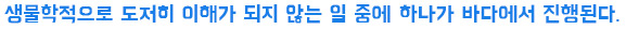생물학적으로 도저히 이해가 되지 않는 일 중에 하나가 바다에서 진행된다.