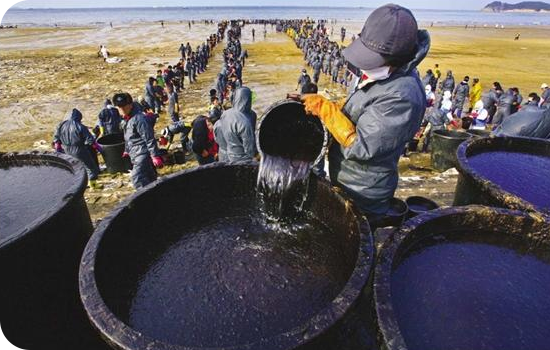 신정숙 作 (제6회 대한민국해양사진대전 동상)