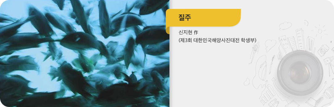 질주-신지현 作(제3회 대한민국해양사진대전 학생부)