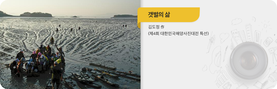 갯벌의 삶-김도정 作(제4회 대한민국해양사진대전 특선)