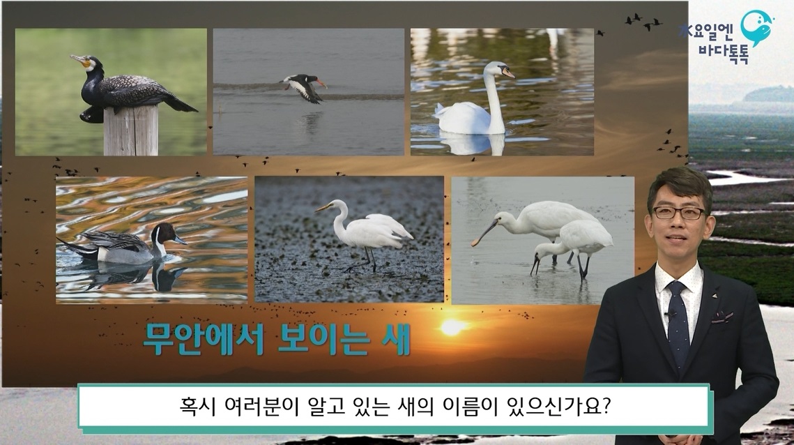 광주 6회 도입