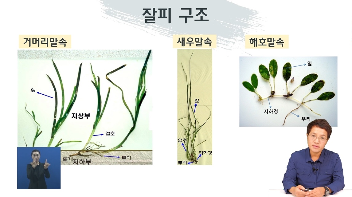 대구 4회 본강연