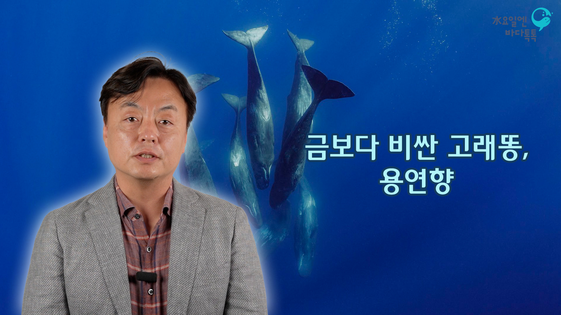 2022 바다톡톡 대전 6회 본강연 썸네일