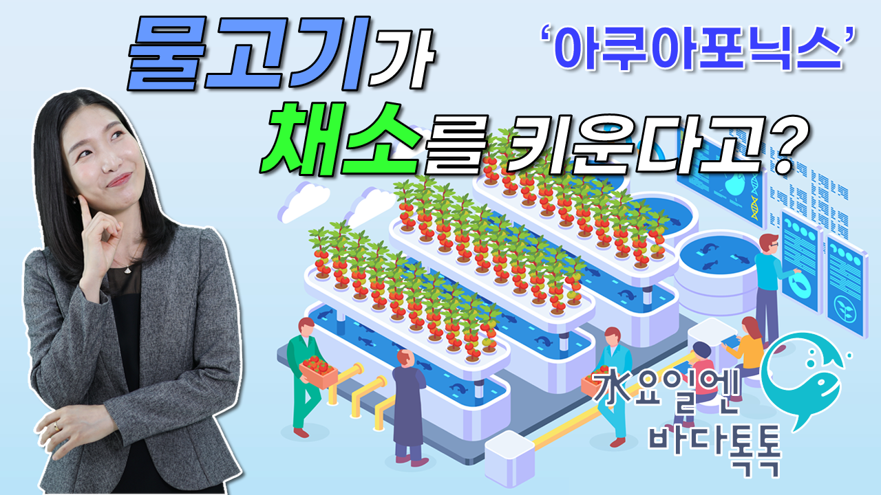 2022 바다톡톡 서울 8회 도입강연 썸네일