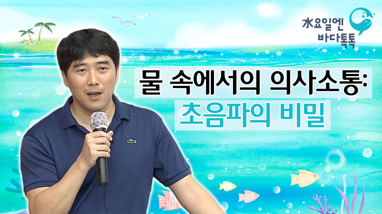수요일엔 바다톡톡 물 속에서의 의사소통: 초음파의 비밀