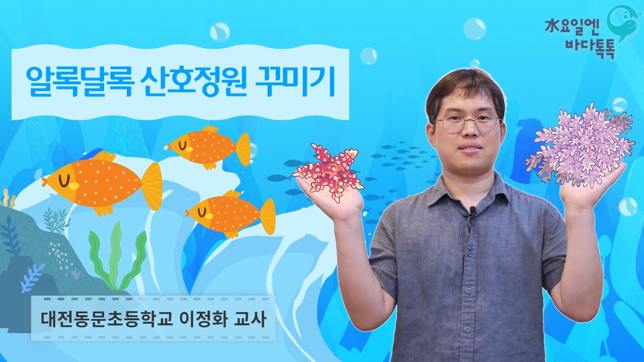 수요일엔 바다톡톡 알록달록 산호정원 꾸미기 대전동문초등학교 이정화 교사
