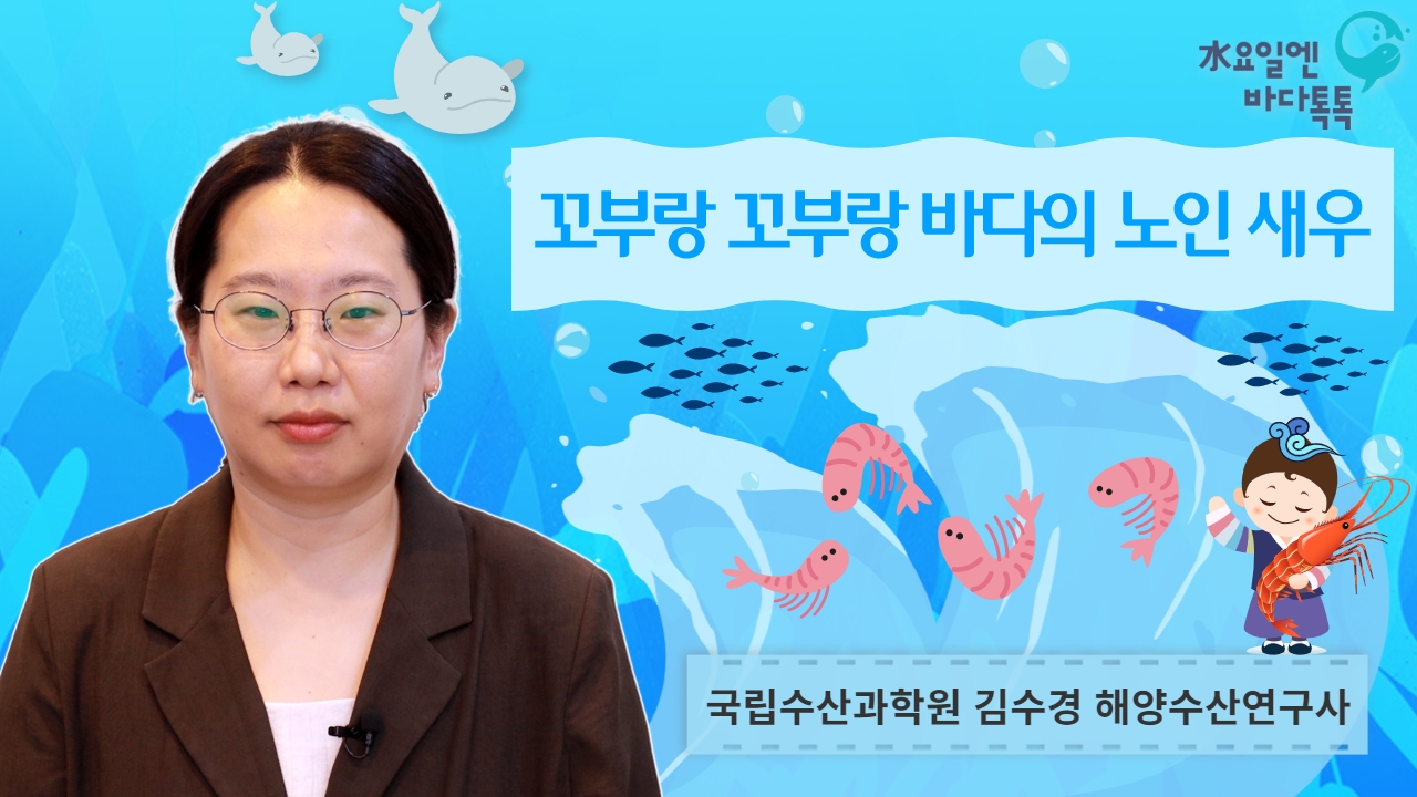 2023 바다톡톡 대전 9회 본강연 썸네일