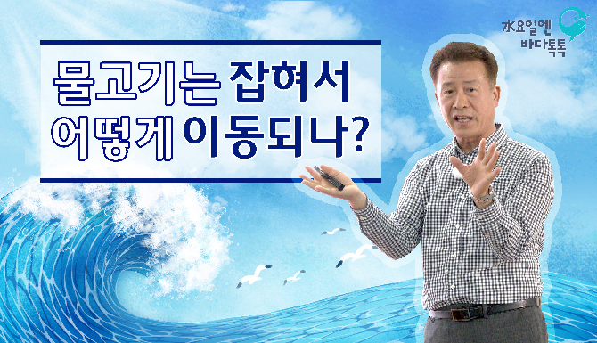 2023 바다톡톡 부산 9회 도입강연 썸네일