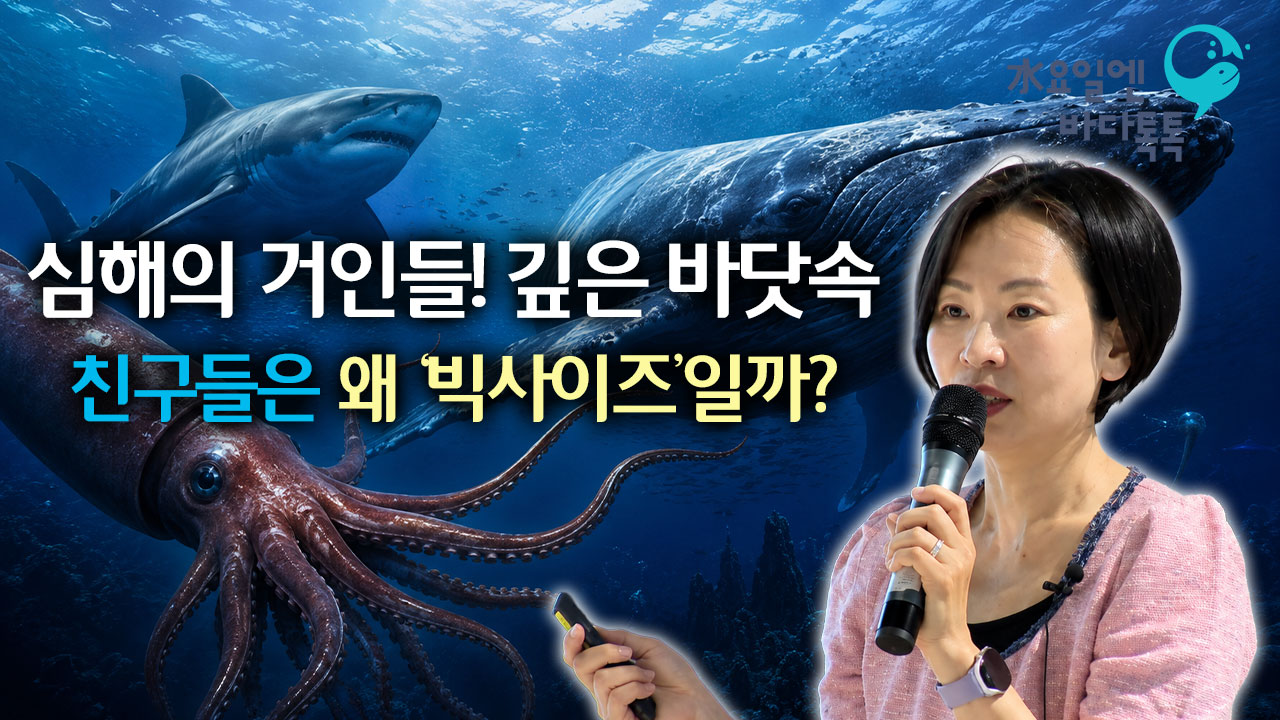 2026 바다톡톡 대구 4회 도입강연 썸네일
