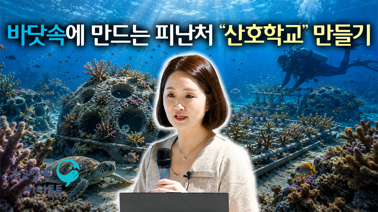 2026 바다톡톡 대구 4회 본강연 썸네일