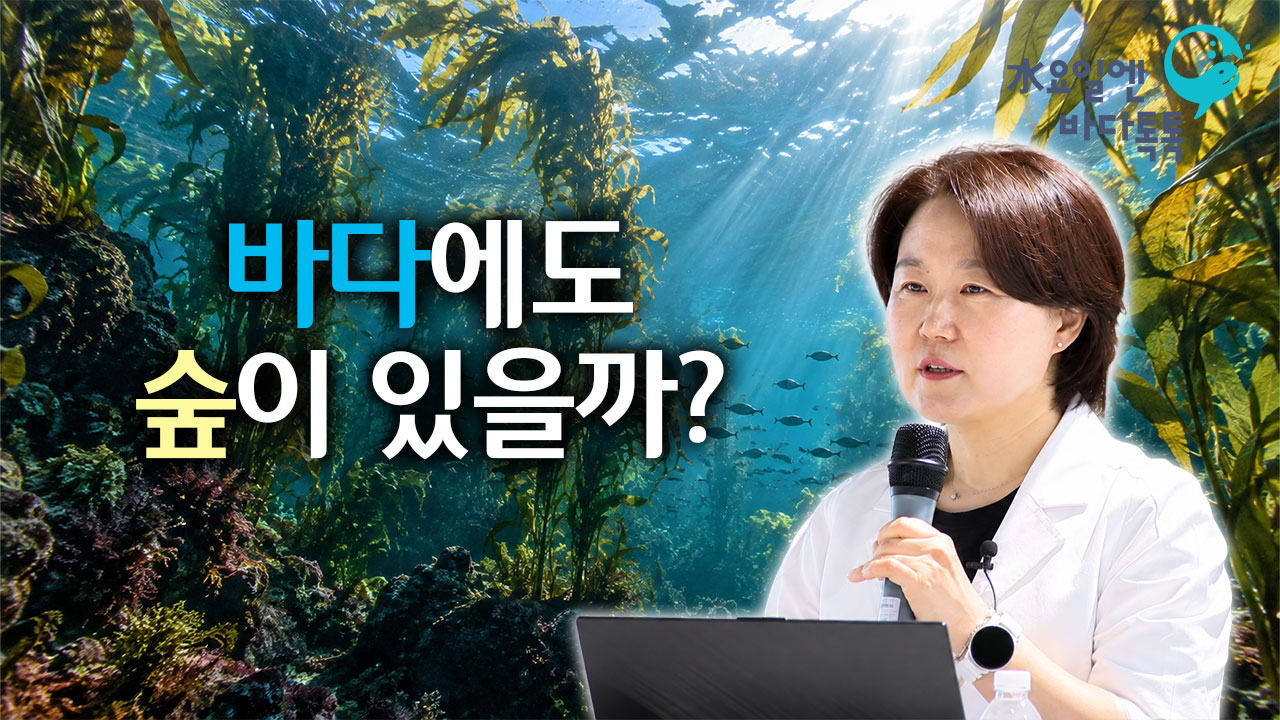2026 바다톡톡 대구 7회 도입강연 썸네일